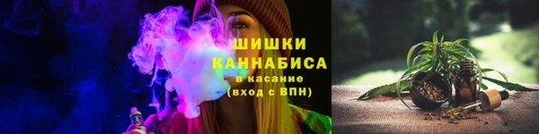 молекула духа Дмитриев